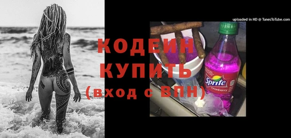 хмурый Абаза