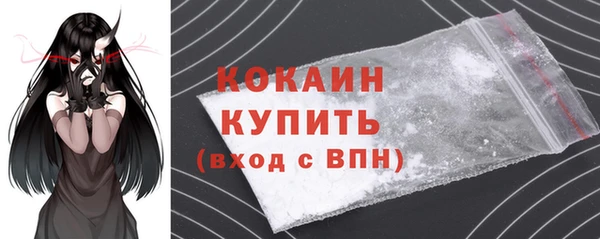 хмурый Абаза