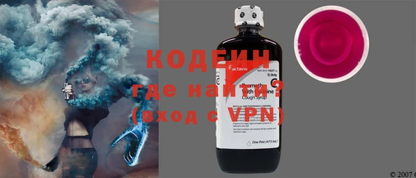 хмурый Абаза
