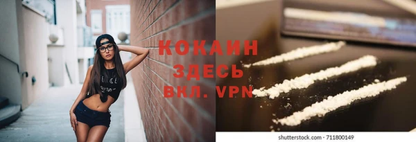 хмурый Абаза