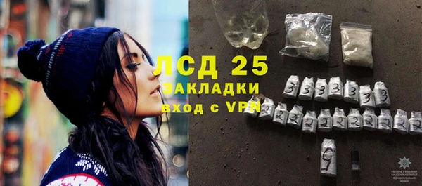 хмурый Абаза
