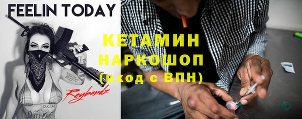 хмурый Абаза