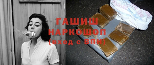 хмурый Абаза