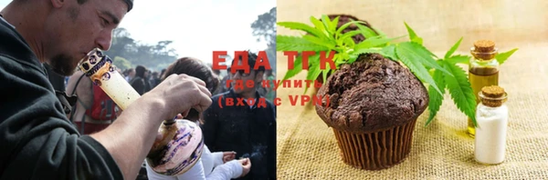 хмурый Абаза