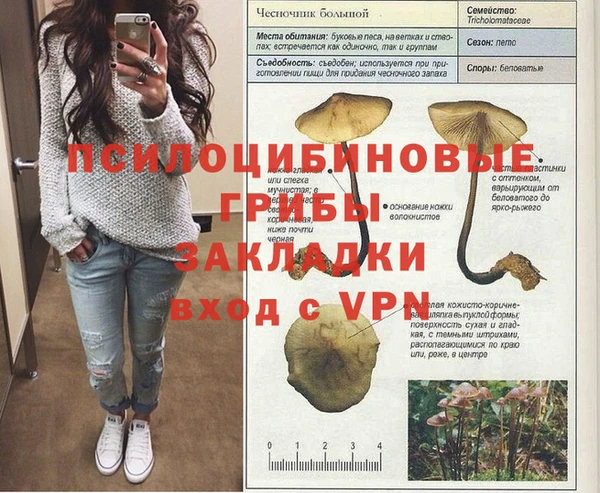 хмурый Абаза