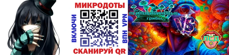 Псилоцибиновые грибы мицелий Ефремов