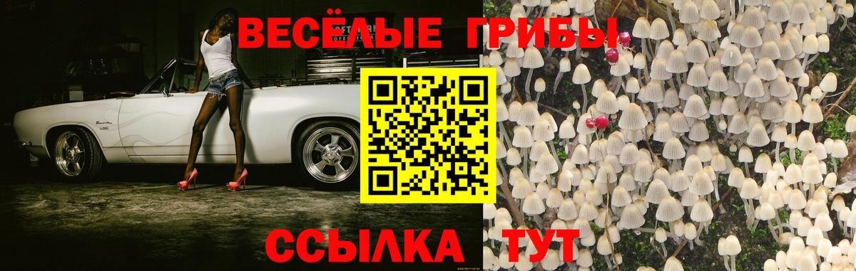 Псилоцибиновые грибы Magic Shrooms Ефремов